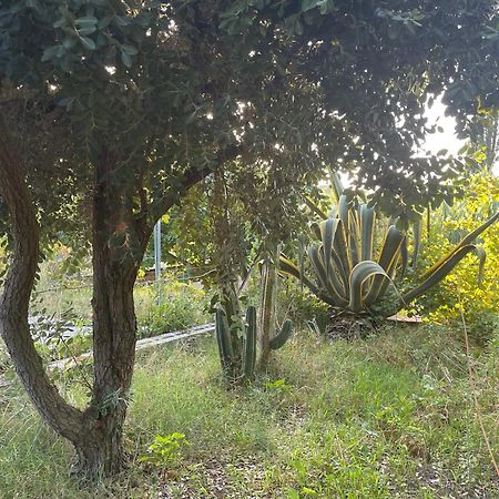 Villa Vittoria Trappeto  Eksteriør bilde