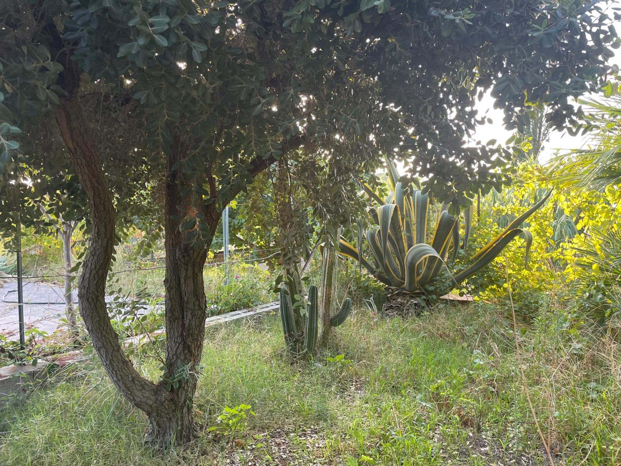 Villa Vittoria Trappeto  Eksteriør bilde